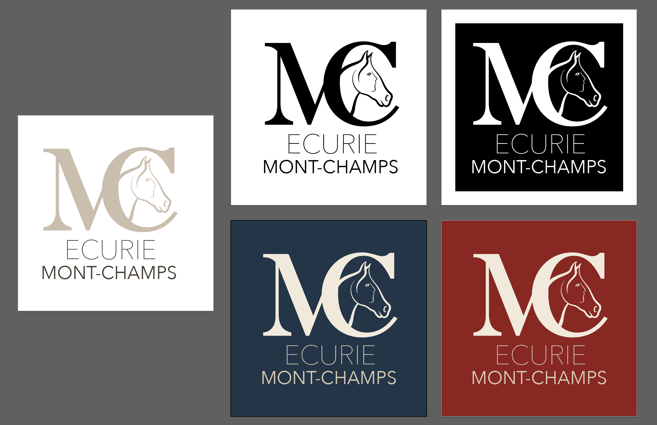 D&eacute;clinaisons couleurs du logo de base