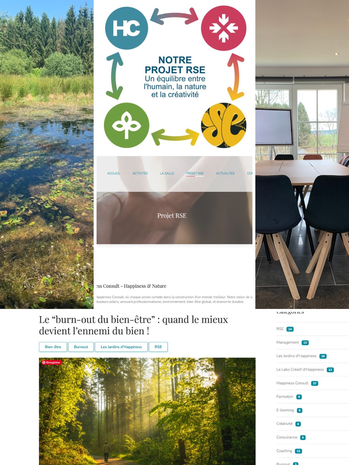 Happiness Consult - projet RSE | Univers visuel