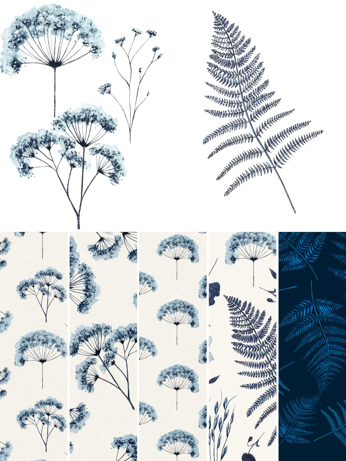 Cyanotype | Processus créatif Cyanotype | Processus créatif