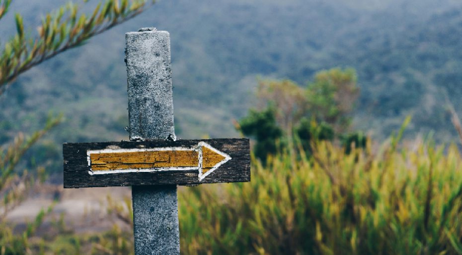 Clarifier son image et la faire durer commence par une direction artistique structurée